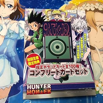 Amazon.co.jp: HUNTER×HUNTER 指定ポケットカード全100種